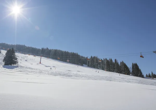 DN winter 6