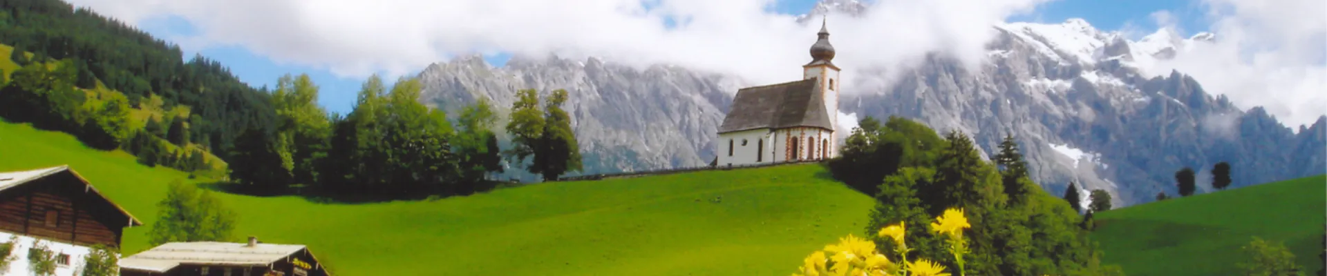 DN header DN Zomer 1600 x 483 px 1650 x 483 px