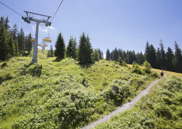 HT Hinterthal zomer 37