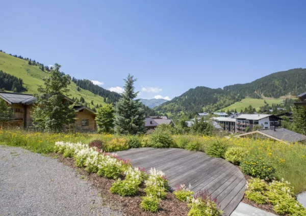 HT Hinterthal zomer 2