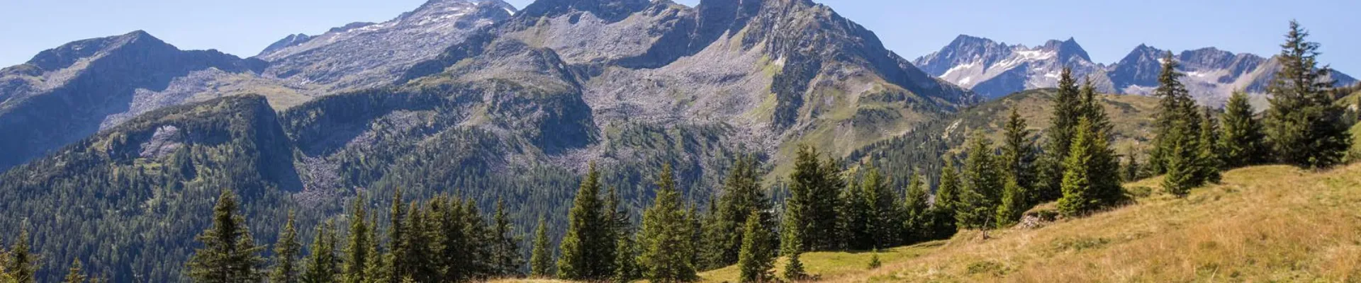 HK header Hk Zomer 1600 x 483 px