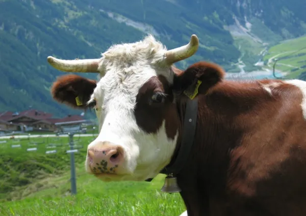 KL Konigsleiten dorp zomer 2