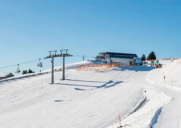 FB header FB winter1600 x 483 px 1650 x 483 px