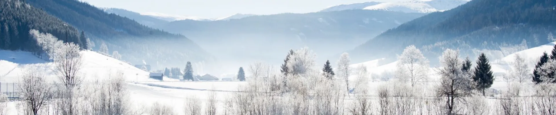 MD header MD Winter 1600 x 483 px