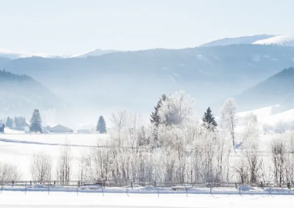 MD header MD Winter 1600 x 483 px