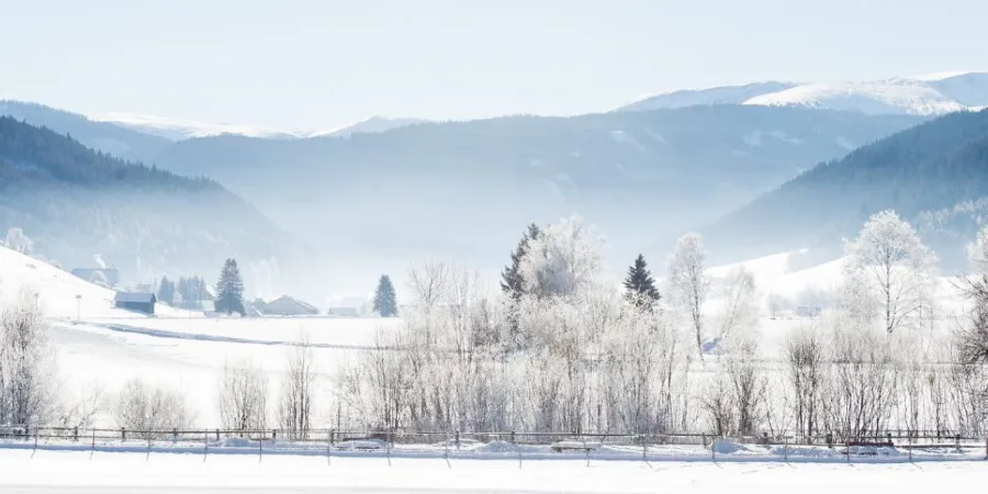 MD header MD Winter 1600 x 483 px