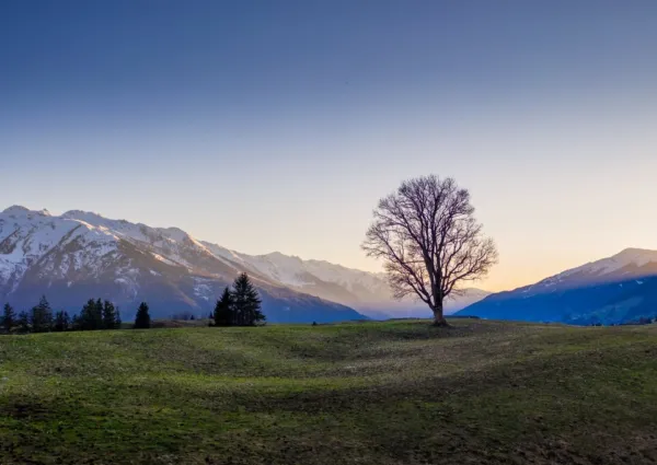 April 2020 c Daniel Kogler Mittersillplus 1