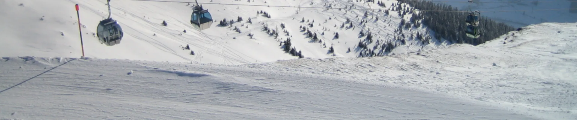 NK header NK Winter 1600 x 483 px 1650 x 483 px