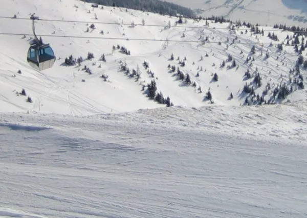 NK header NK Winter 1600 x 483 px 1650 x 483 px