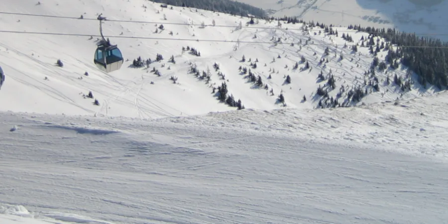 NK header NK Winter 1600 x 483 px 1650 x 483 px