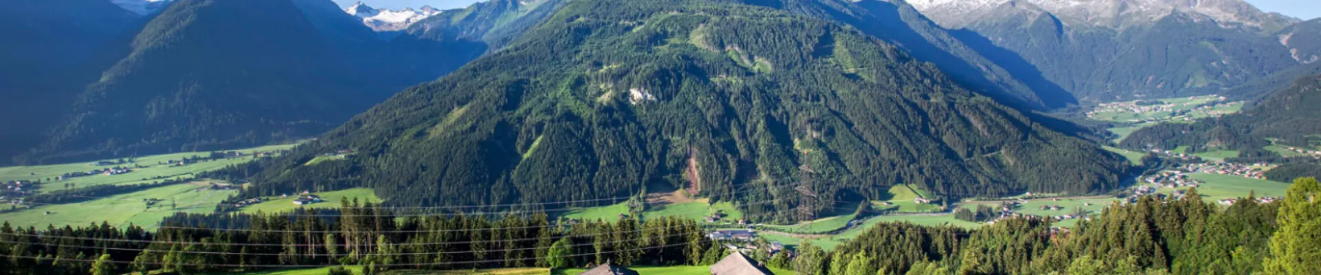 NK header NK Zomer1600 x 483 px 1650 x 483 px