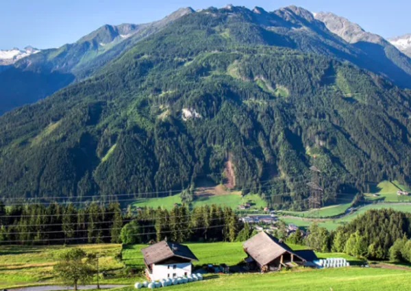 NK header NK Zomer1600 x 483 px 1650 x 483 px