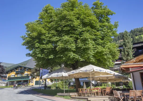 NK Neukirchen zomer 4