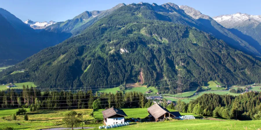 NK header NK Zomer1600 x 483 px 1650 x 483 px