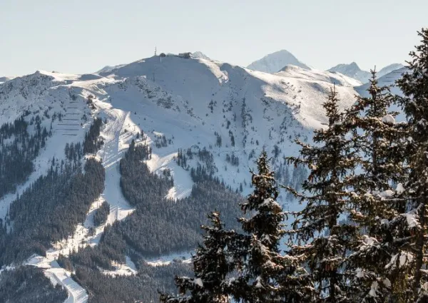 HK header SB 1600 x 483 px 1600 x 483 px