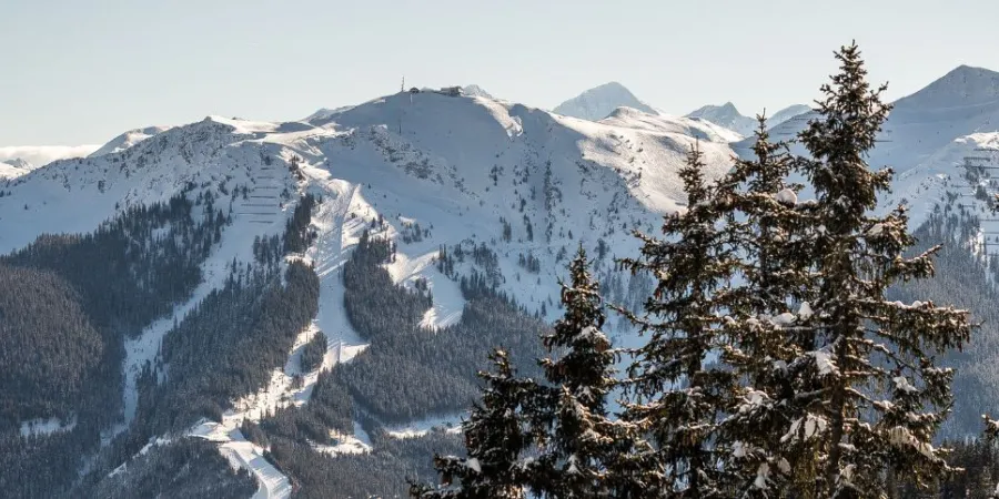 HK header SB 1600 x 483 px 1600 x 483 px