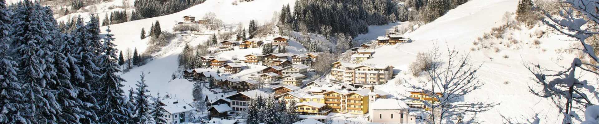 Viehhofen Ort Winter