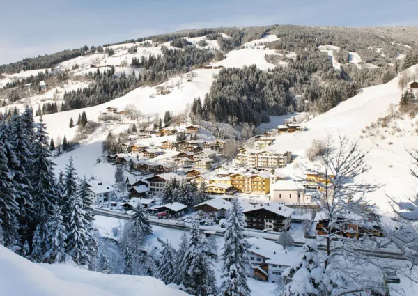 Viehhofen Ort Winter