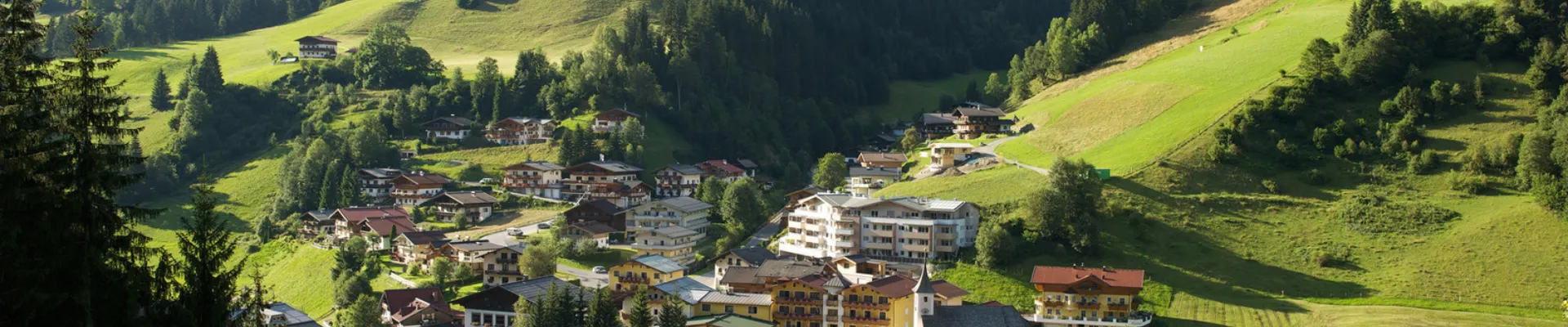 Viehhofen Ort Sommer