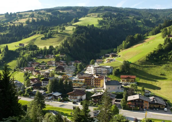 Viehhofen Ort Sommer