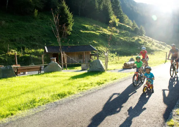 Radfahren Mountainbike