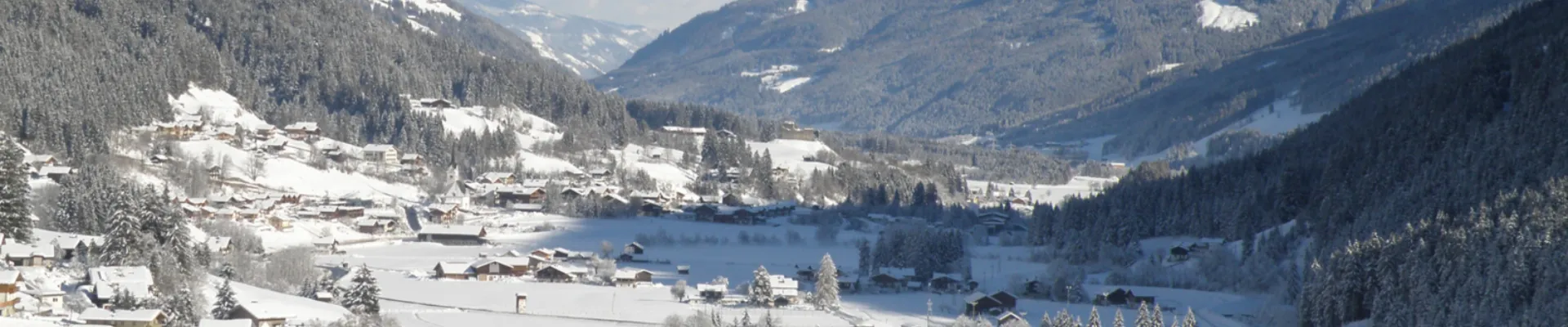 WD header WD Winter 21600 x 483 px 1650 x 483 px