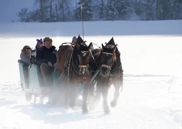 WLD Wald dorp winter 1