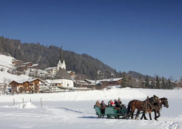 WLD Wald dorp winter 1 A