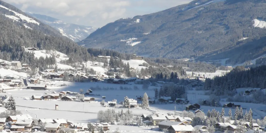 WD header WD Winter 21600 x 483 px 1650 x 483 px