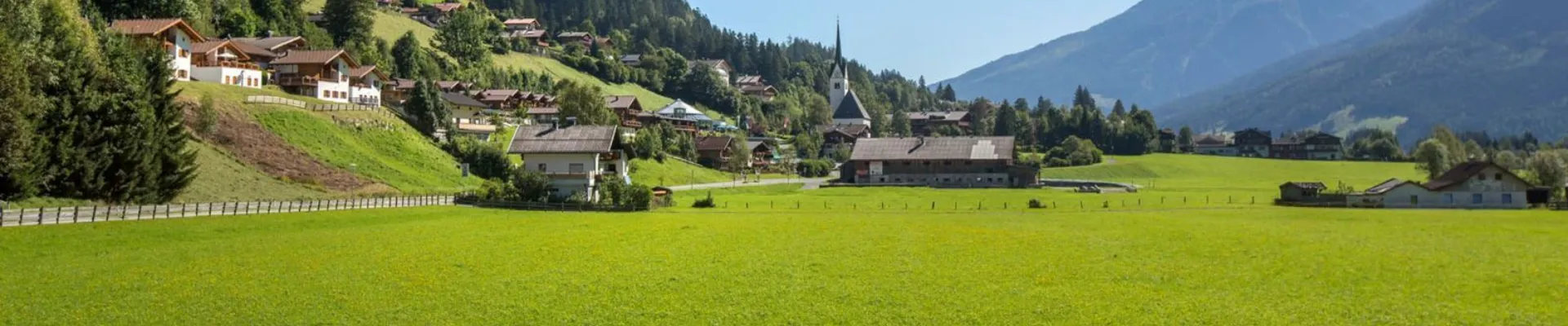 WD header WD Zomer 21600 x 483 px 1650 x 483 px