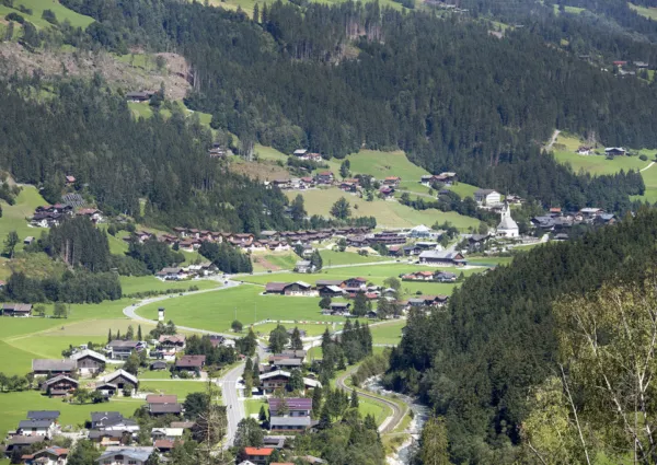 WLD Wald zomer 21