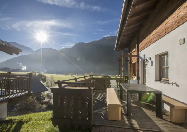 WLD Wald zomer 41