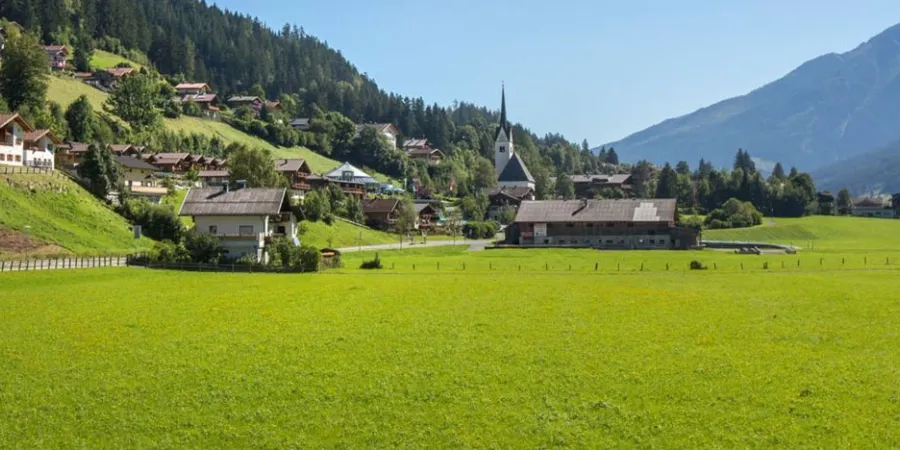 WD header WD Zomer 21600 x 483 px 1650 x 483 px